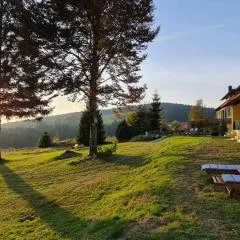 Dreisessel Motel