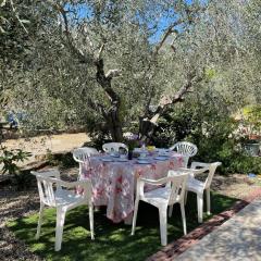 Apartment Olivo - PGI128 by Interhome