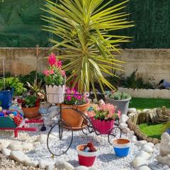 Studio Le Lavandou