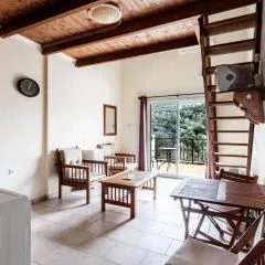 Loft Studio Raxes Kastanies Ikaria # 6
