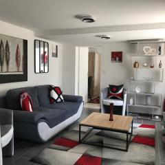T3 cosy, grand jardin, à 200 m de parc ST Nicolas, plusieurs parkings Angers