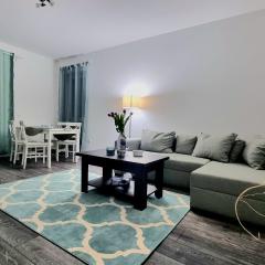 Swan Brasov Apartment