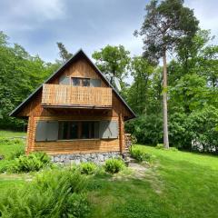 Wooden house in the nature