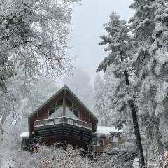 Sweet getaway in private Giant Sequoia Grove!