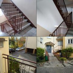 Apartament w Centrum Chełma