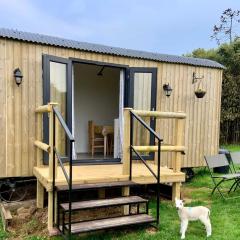 Shepherds hut with a hot tub