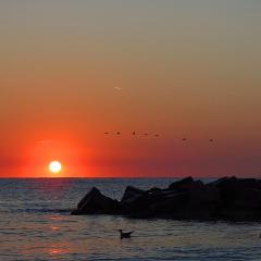 Sunrise Home Apartment