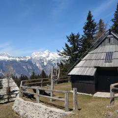 Chalet Resa - Velika planina