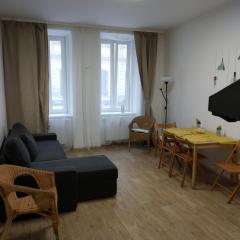 Apartmans in the center with privat parking