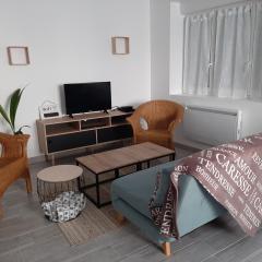 Appartement Cosy plein coeur de Guémené-sur-Scorff