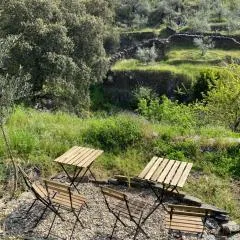 Casas Rurales Prunus avium