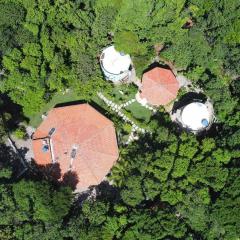 Apartamentos GoPipa934