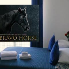 BRAVO HORSE