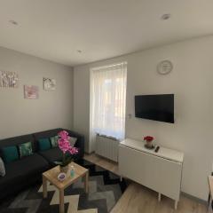 La merveille de Rochebonne 1