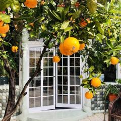 Beautiful small House in Algarve Portugal