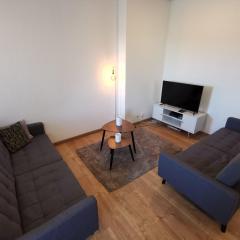 COSY’HOME Ravissant appartement bien situé Mulhouse