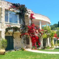 House Lemoni, Apartment B - Pelekas, Corfu