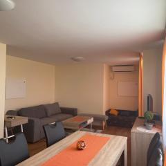 Apartma Moravske Toplice 16