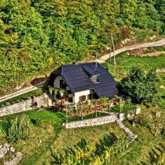 Holiday home in Otocec Kranjska Krain 42903