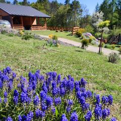 Roztocze, Domek Na Leśnym Wzgórzu nr2,Krasnobród,Zamość, Zwierzyniec, jacuzzi