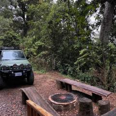 La Bromelia/Cabaña de Montaña, Cerro de la Muerte.