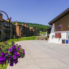 Okemo Mountain Lodge B203