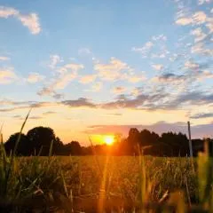 Sunrise Retreat