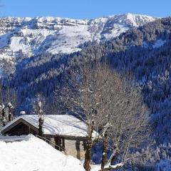 Chalet 3 pièces, 6 pers, 2 km des pistes, plein sud, internet - FR-1-342-158