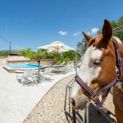 Holiday home with swimming pool, donkeys and horses