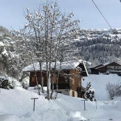 Chalet 3* à Arêches, 100m², 8 pers, 4 ch, Pied des Pistes, Cheminée, Terrasse, Wifi - FR-1-342-246