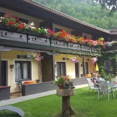 Alpen-Appartementhof