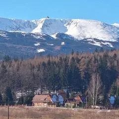 DOMEK POD ŚMIELCEM