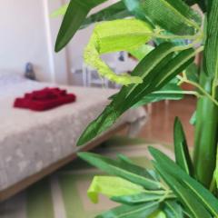 Apartament puerto