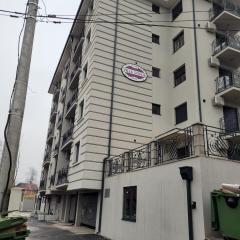 APARTMANI CEPERKOVIC