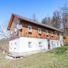 Amazing Home In Schlierbach With Kitchen