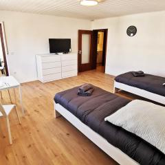 1 room apartment in Rodgau near Frankfurt