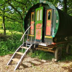 Genuine Gypsy Hut and Glamping Experience - In the Heart of Cornwall