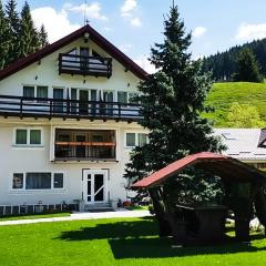 Valea Dorului Guest House