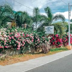 Airport View Hotel Vigan