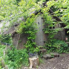 Cabane d'Augustin