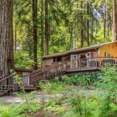 Redwood Paradise