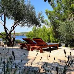 Villa Gjardini - Sparadici