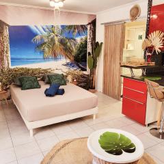 Le studio TAHITI 4 pers 600m de la plage la favière