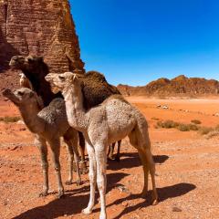 Wadi Rum POLARIS camp