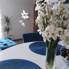 Apartman Borovi 18