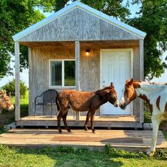 Tiny Cabin at the DonkeyRanch