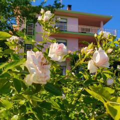 Fiori e Frutti Appartamenti