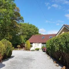 Birchbank