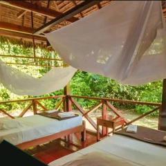 Tambopata Edosikiana Lodge