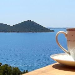 Apartment Mima with Sea View